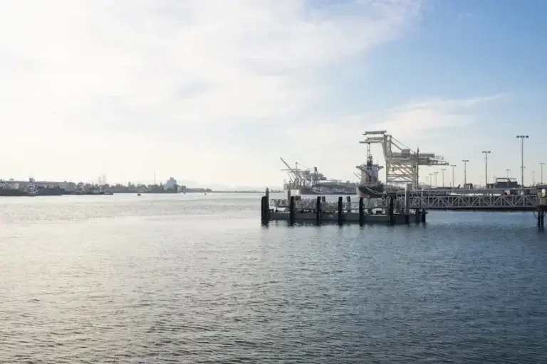 Business owner finding export clients using LinkedIn, B2B marketplaces, and international trade fairs in 2025